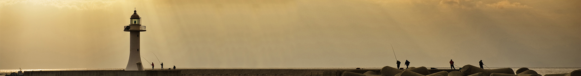 �W(w��ng)վ�S�o(h��)��˾����