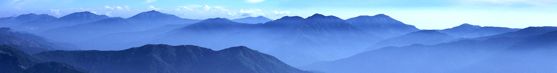 �W(w��ng)վ�S�o��(n��i)��