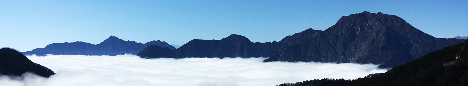 �W(w��ng)վ�S�o��Ҋ���}